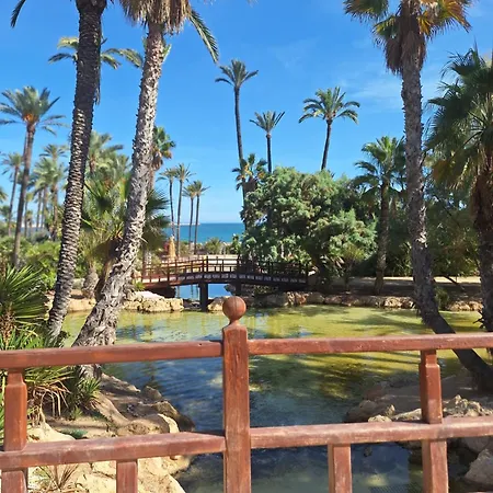 Costa De Verano With Swimming Pool In The Center Of Torrevieja