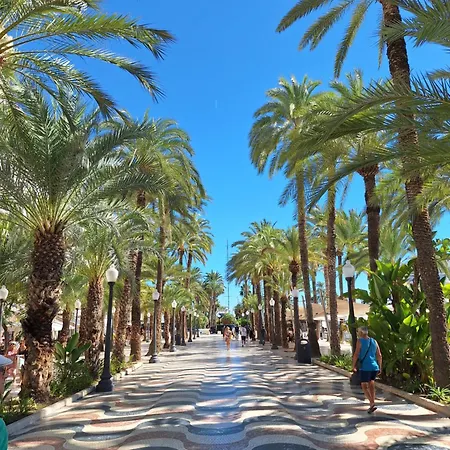 Costa De Verano With Swimming Pool In The Center Of Apartment